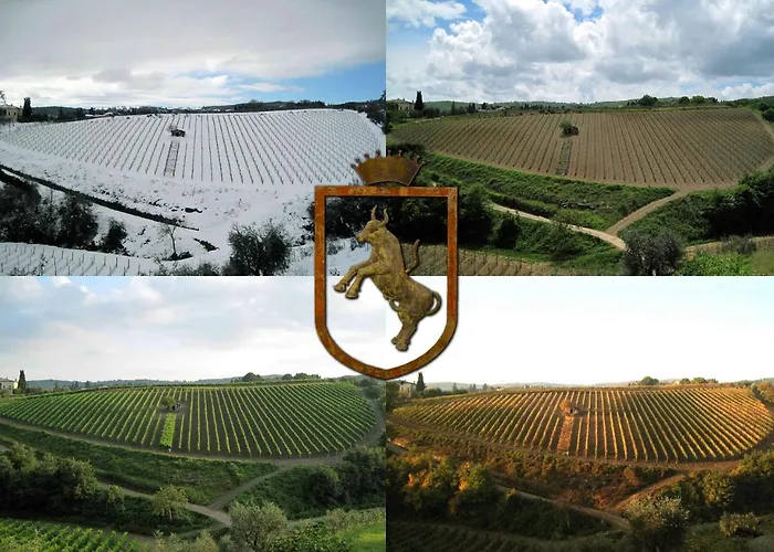 Colle Al Matrichese - Historic Winery